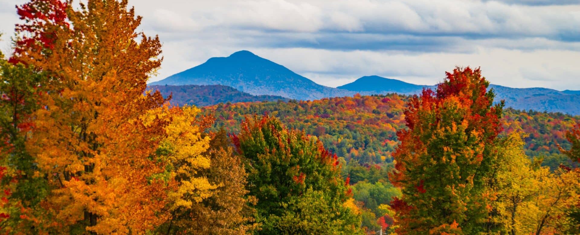 Forêts aux couleurs automnales dans les paysages vallonnés du Vermont.