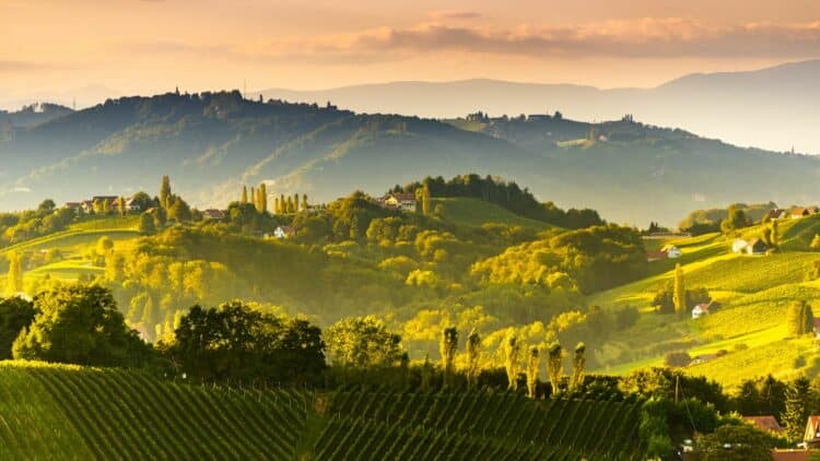 Collines viticoles de Styrie baignées par la lumière du soir en Autriche.