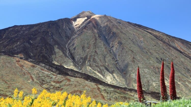 Le volcan Teide entouré de paysages volcaniques et de fleurs rouges à Tenerife.