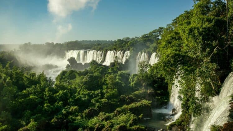 Les chutes d'Iguazú au cœur de la forêt tropicale en Argentine.