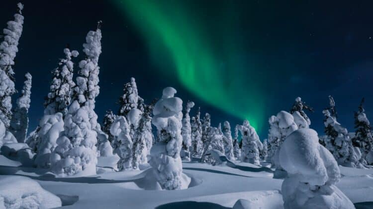Aurores boréales illuminant un paysage enneigé en Laponie suédoise.