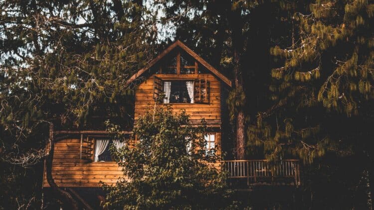 Cabane en bois nichée au cœur d'une forêt, idéale pour un séjour nature.