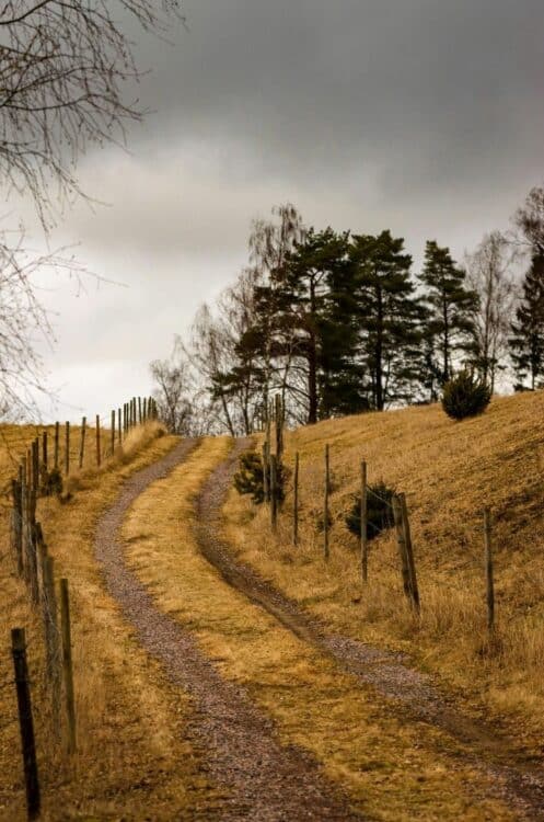 Chemin de campagne traversant les paysages naturels de Suède.