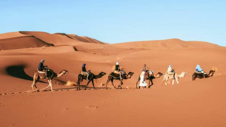 Caravane de dromadaires traversant les dunes du désert marocain.