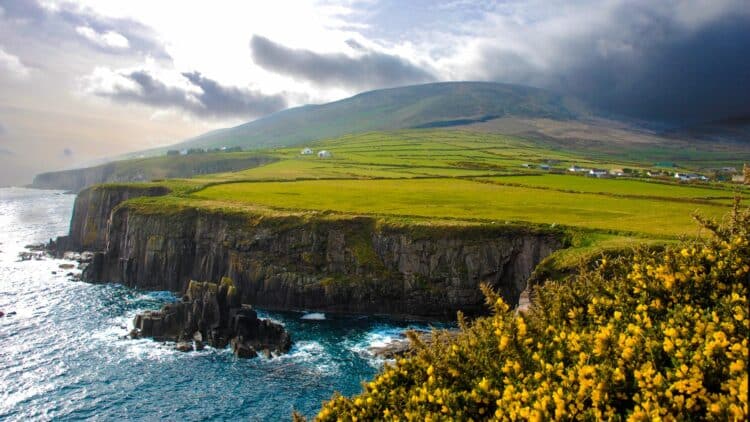 Falaises sauvages sur la côte de l'Irlande face à l'océan Atlantique.