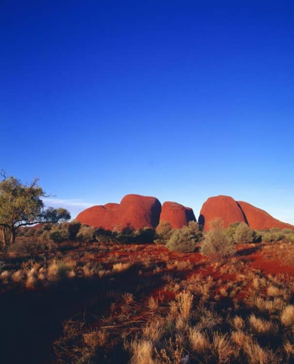 Vue sur les dômes rocheux de Kata Tjuta dans le désert australien.