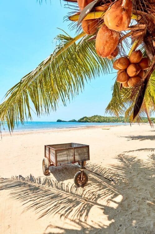 Plage de sable blanc bordée de cocotiers à Nosy Be à Madagascar.