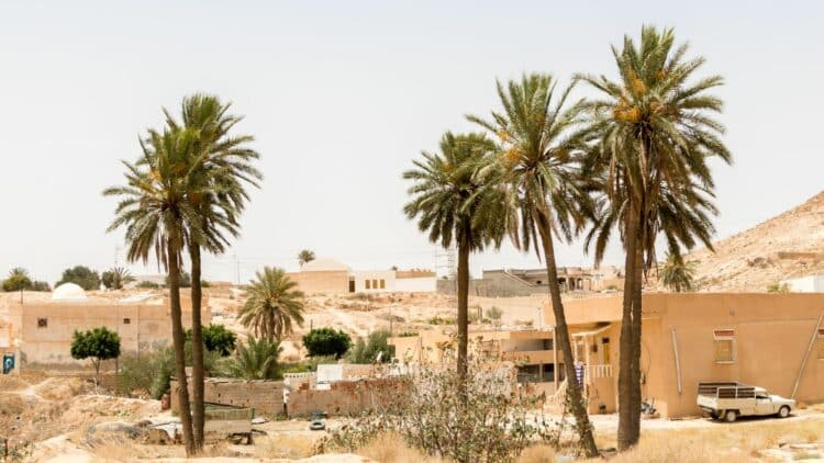 Oasis bordée de palmiers dans un village du sud du Maroc.
