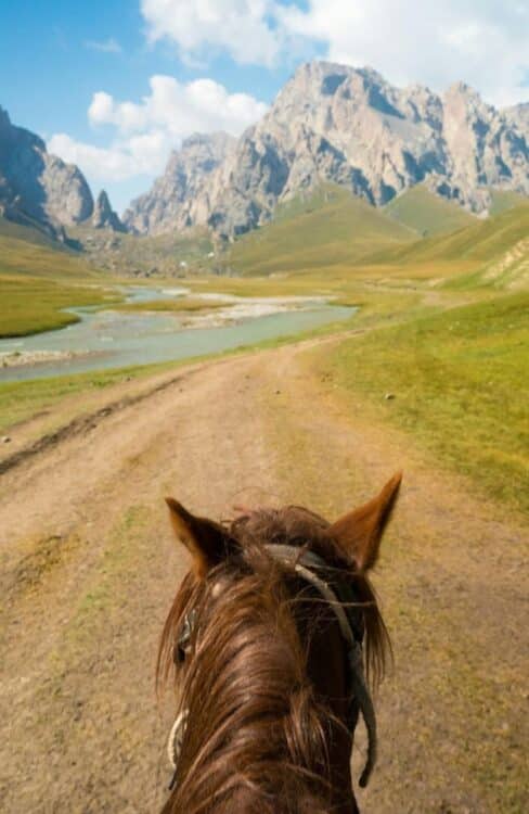 Vue à cheval sur un sentier de montagne traversant une vallée verdoyante.