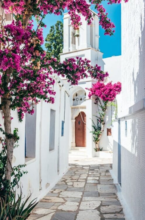Ruelle blanche fleurie de bougainvilliers dans un village des Cyclades en Grèce.