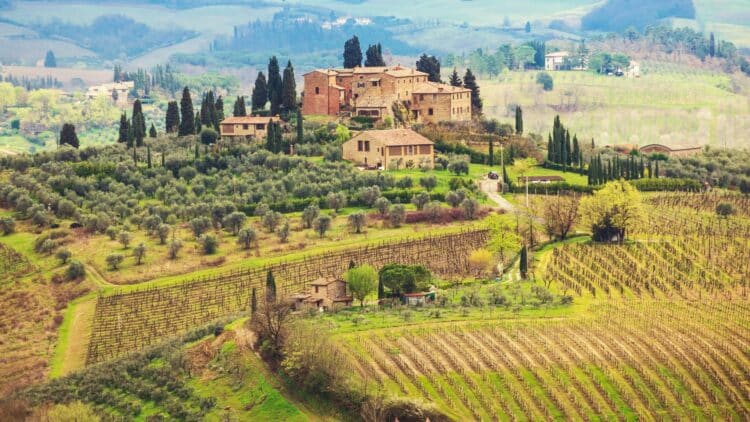 Paysage vallonné de Toscane avec vignobles, cyprès et villages traditionnels.