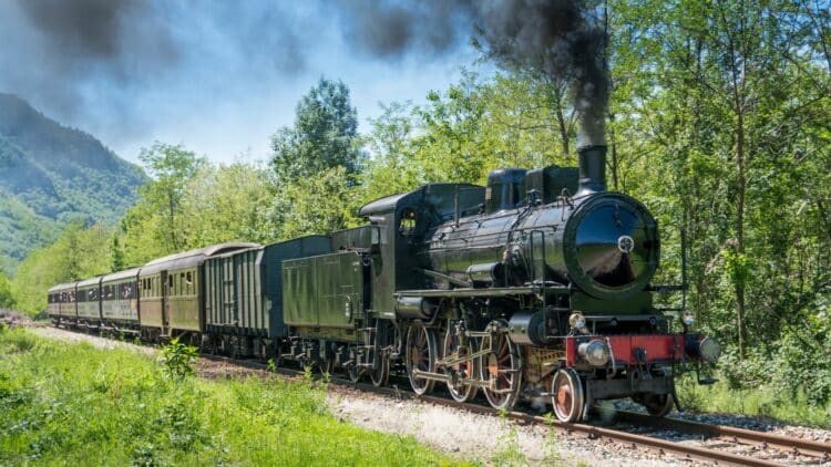 Train à vapeur traversant une forêt dans les Pays Baltes.