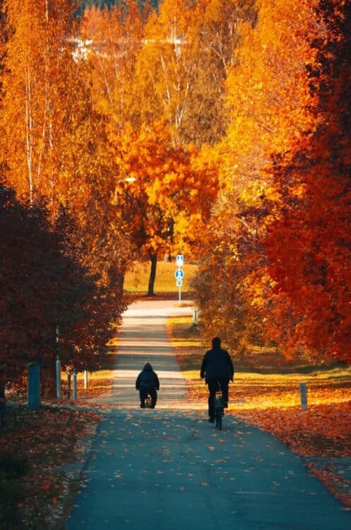 Cyclistes sur une piste bordée d'arbres aux couleurs d'automne.